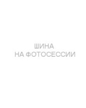Шины Hankook 285/30 r20 Ventus evo Z 99Y Шины Hankook 285/30 r20 Ventus evo Z 99Y