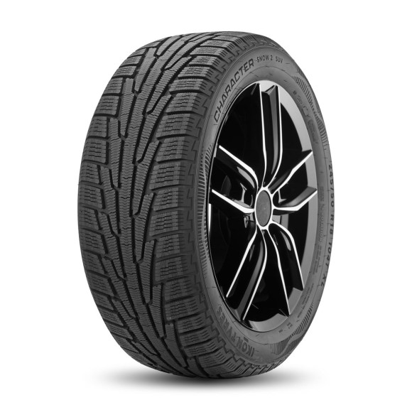 Шины Ikon 235/55 r19 Character Snow 2 SUV (Nordman RS2 SUV) 105T